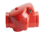 swing check valve grooved end